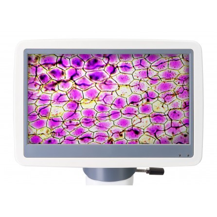 Микроскоп цифровой Levenhuk D85L LCD, монокулярный