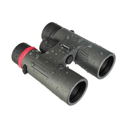 Фотобинокль Levenhuk Kelvin Snap 8x42 Фотобинокль Levenhuk Kelvin Snap 8x42